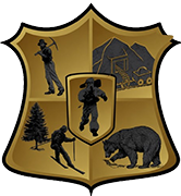 Logo Consiliul Local Cavnic